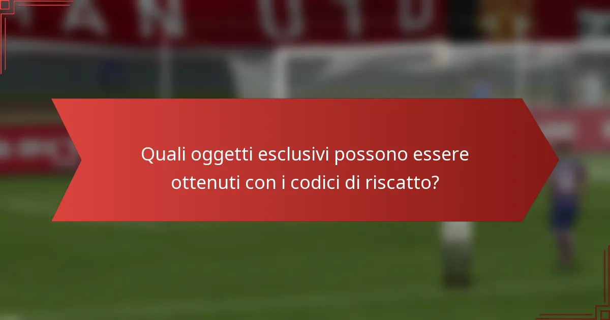 Quali oggetti esclusivi possono essere ottenuti con i codici di riscatto?